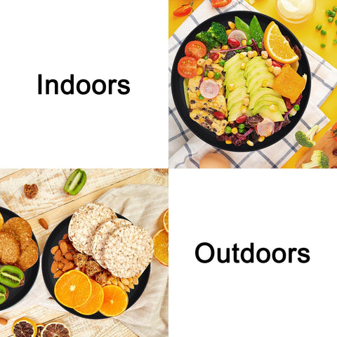 Wrova versatile plate suitable for meals, desserts, and snacks.