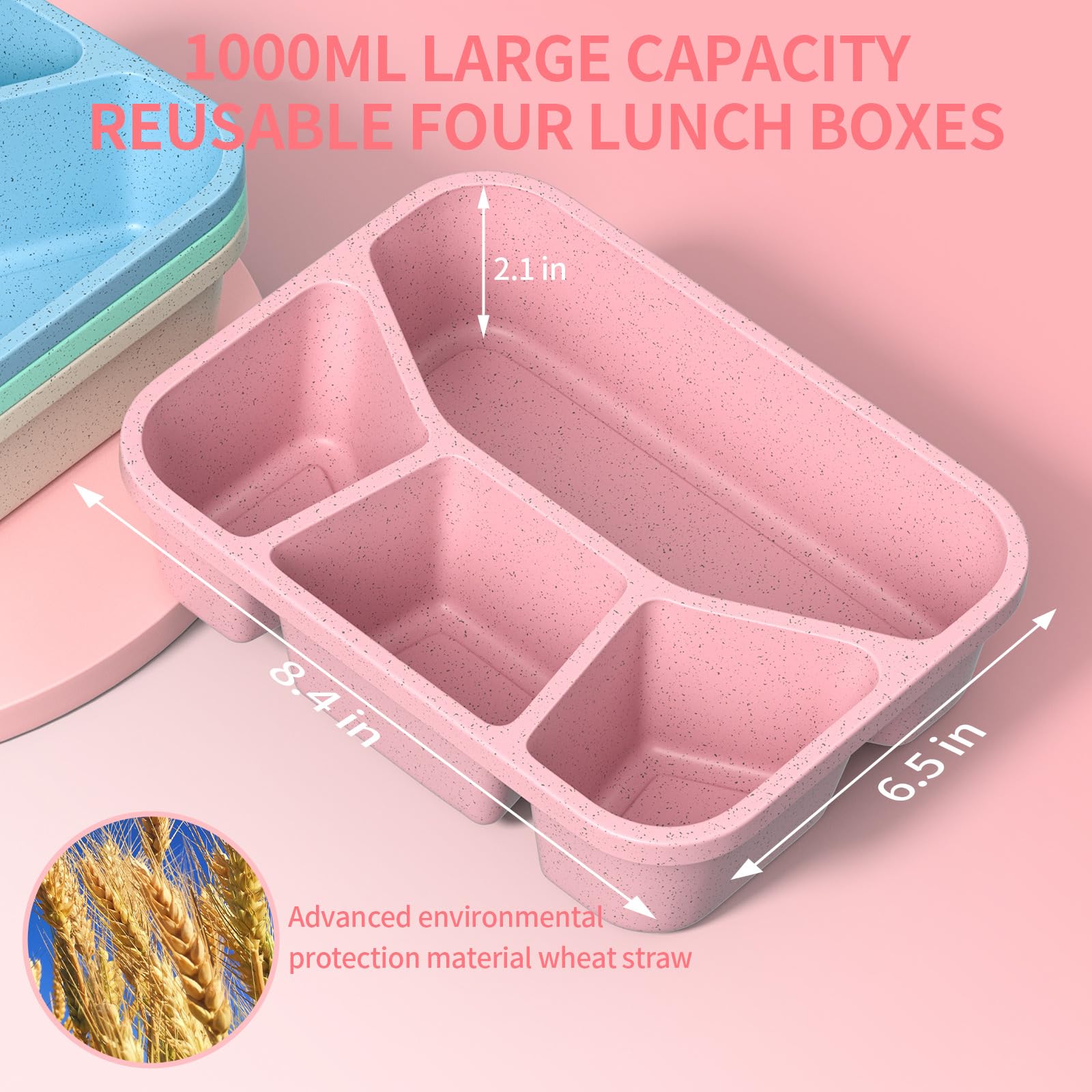 XGXN Bento Box with transparent lid to view meals at a glance.