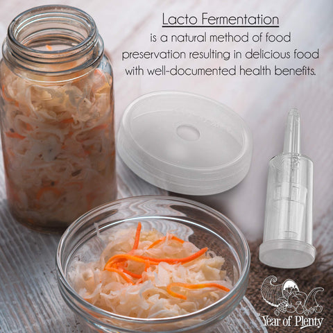 Year of Plenty airlock lid system protects ferments while gases escape.