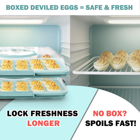 YETESON transparent lid shows contents at a glance.