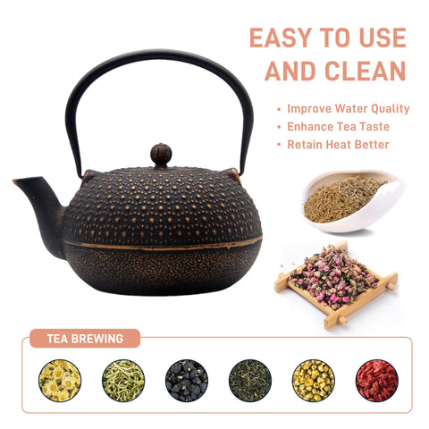 YJX 6-cup teapot image inspired by traditional Japanese Tetsubin