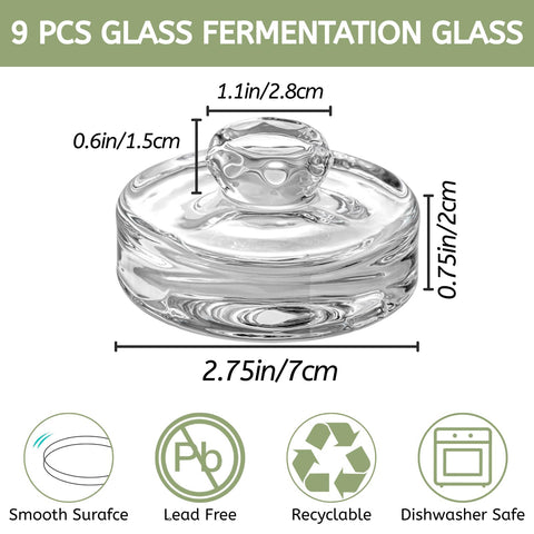 Youeon 9-pack fermentation weights in wide-mouth jar for sauerkraut and kimchi