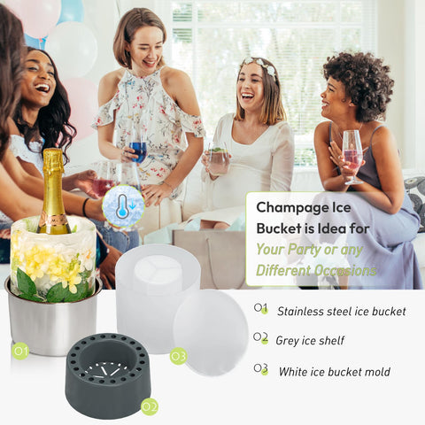 YOWINT Ice Bucket Mold clear-plastic mold reveals the preset design before freezing