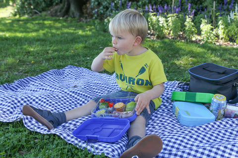 Yumbox Original Surf Blue Rocket color adds fun to lunchtime
