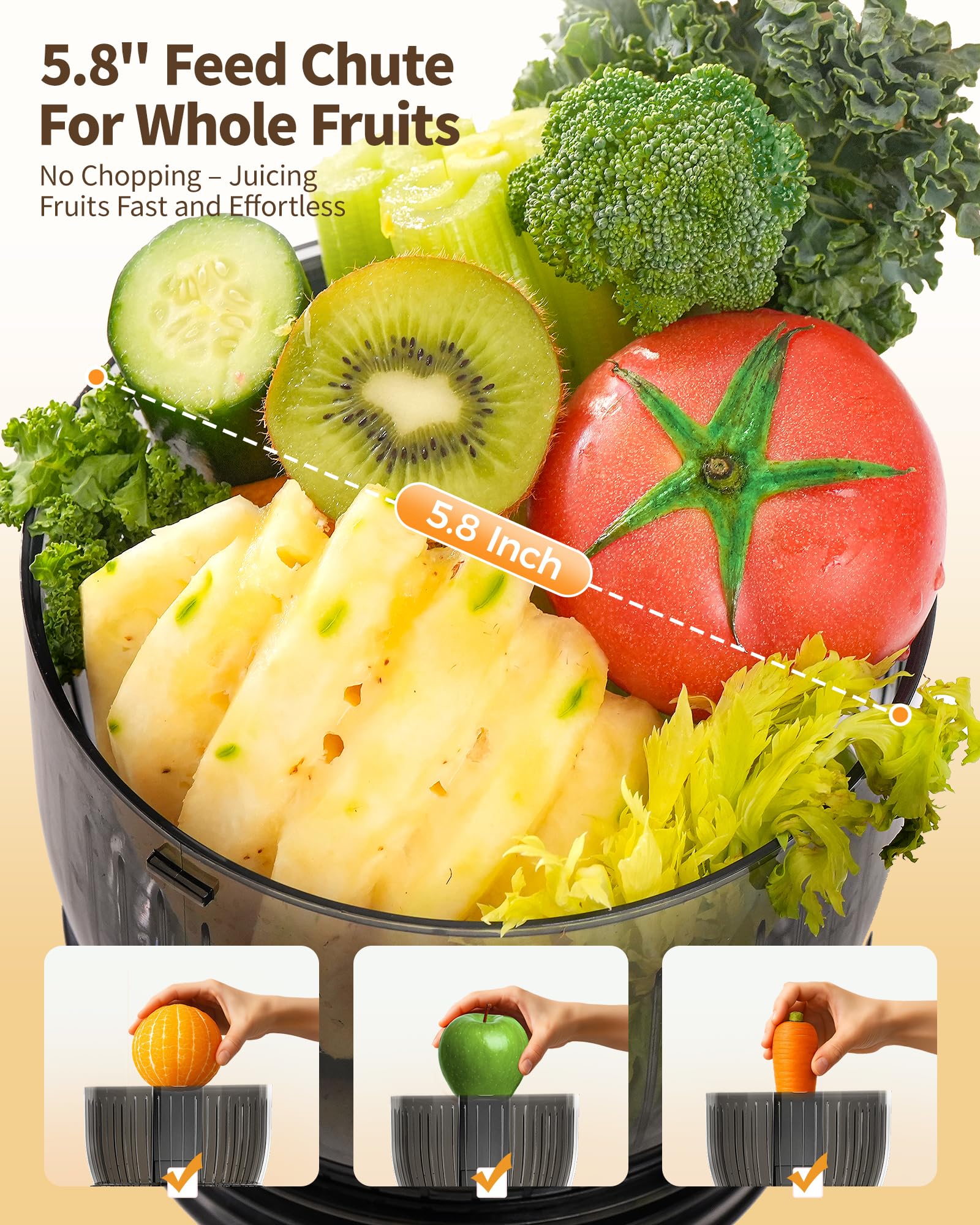 ZACHVO MP-802M 5-8-inch feed chute for juicing whole fruits and vegetables
