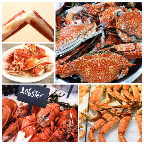 ZAUGONTW seafood cracker tools sturdy die-cast zinc for long-lasting kitchen use.