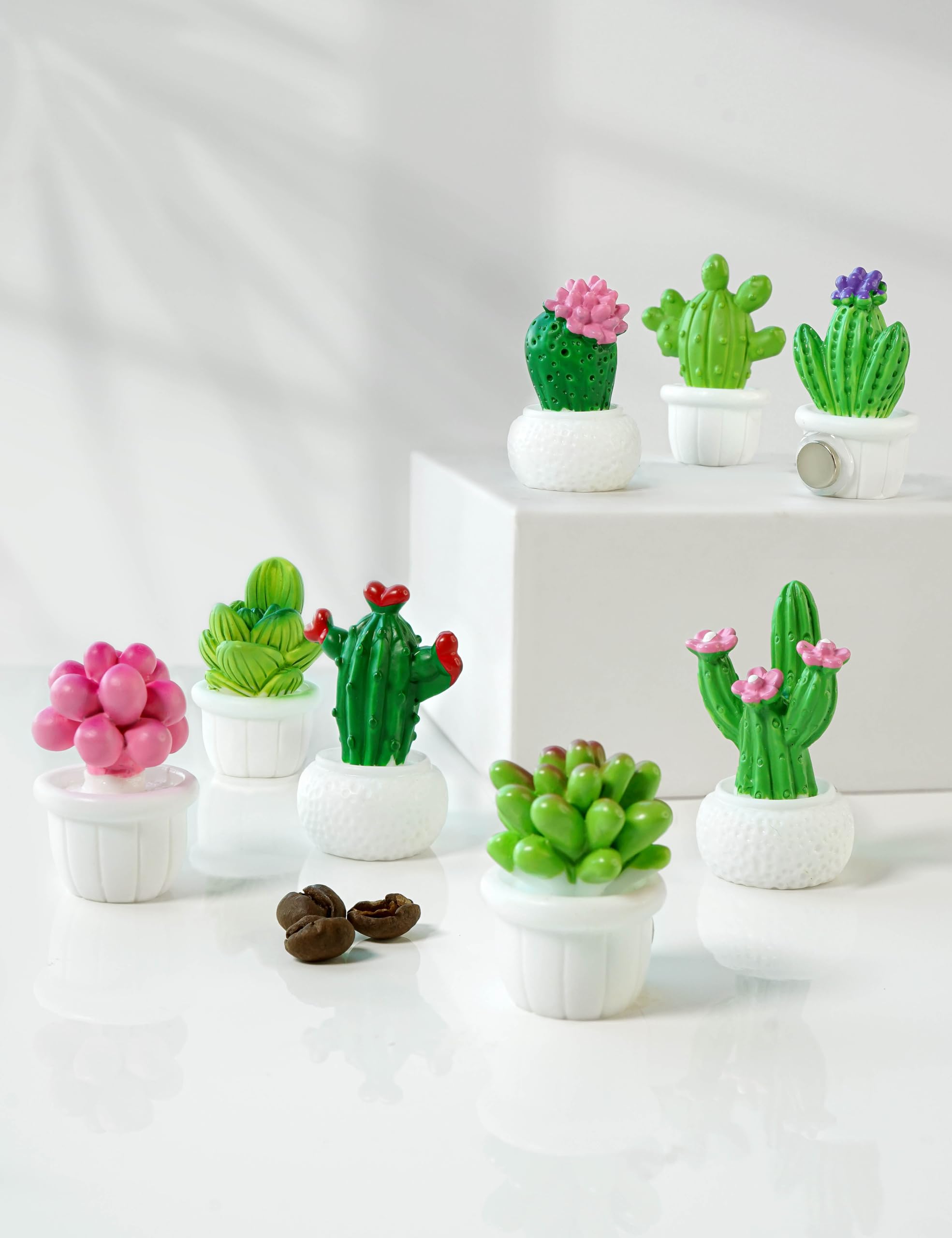 Zreal Cactus Magnets come in varied sizes for photos.